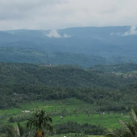 Karang Sari Guesthouse & Warung-2