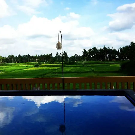 Dina Cottage Ubud-3