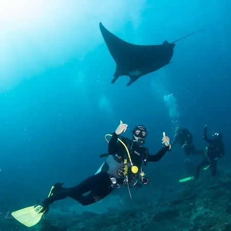 Bali Dive Resort Amed-2