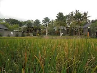 Umae Villa Ubud-3