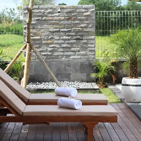 Private Pool Villa - Villa Saia Ubud-3