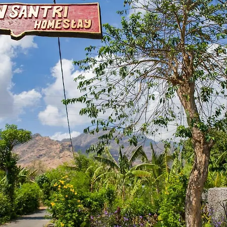 Van Santri Homestay Pemuteran-3
