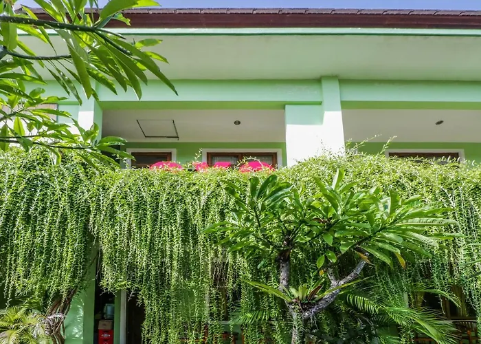 Pet friendly Oyo 2456 Purnama House Kuta Hotel Kuta 