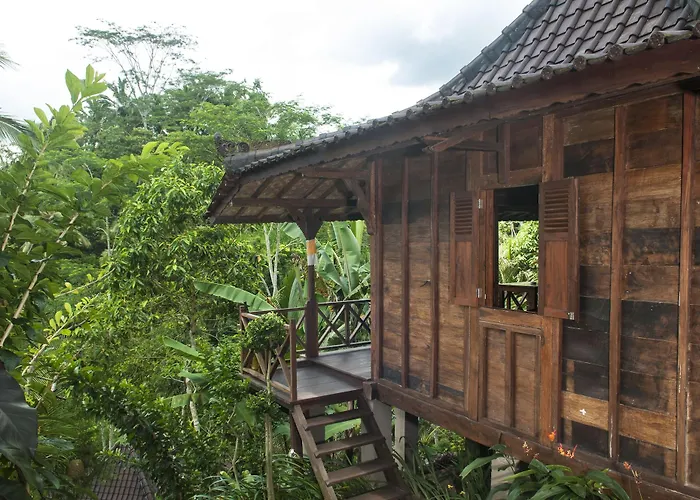 Dd Ubud Jungle Villa