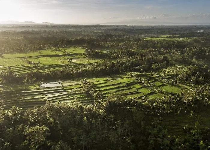 Como Shambhala Estate Payangan