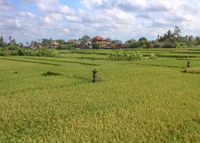 Kubu Sari Ubud