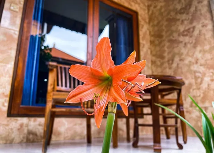 Pandan Wangi Apartment Nusa Lembongan 