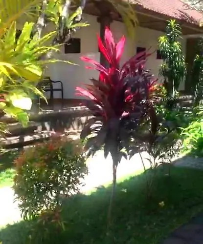City Center Guest House Near Seminyak Beach