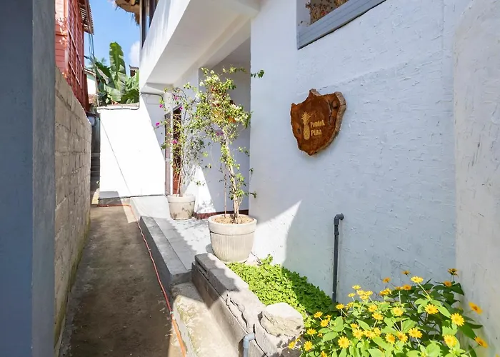 Pondok Pina Ubud Bed & Breakfast