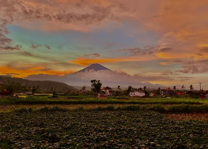Pet friendly D'Uma Amed Homestay