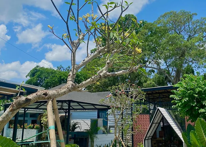 The Jungle Hostel Canggu
