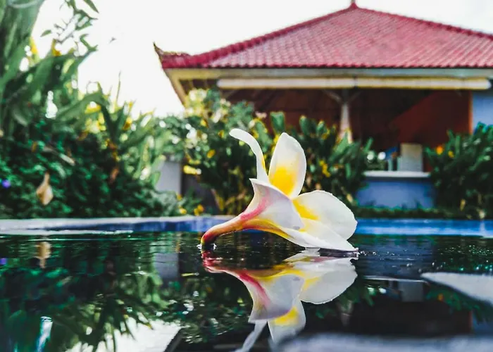 Hokita Home Stay Nusa Lembongan 