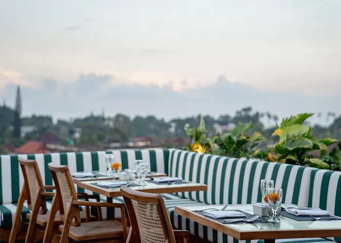 Pet friendly Cross Paasha Bali Seminyak Hotel
