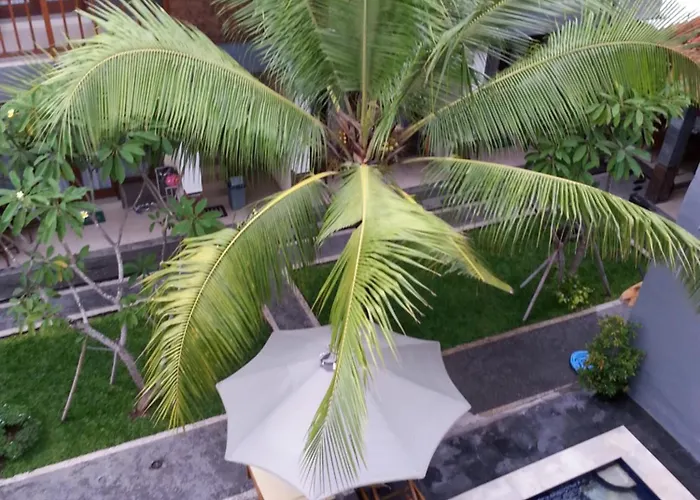 Pet friendly Dabumito Guest House Canggu 