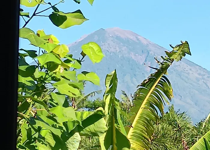 Hotels nahe Amed Shipwreck