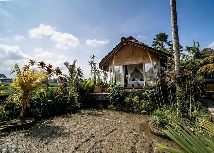 Padi Bali Retreat Hotel Payangan