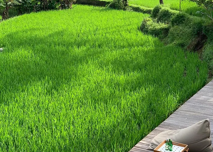 ホテル Umah Tirta ウブド