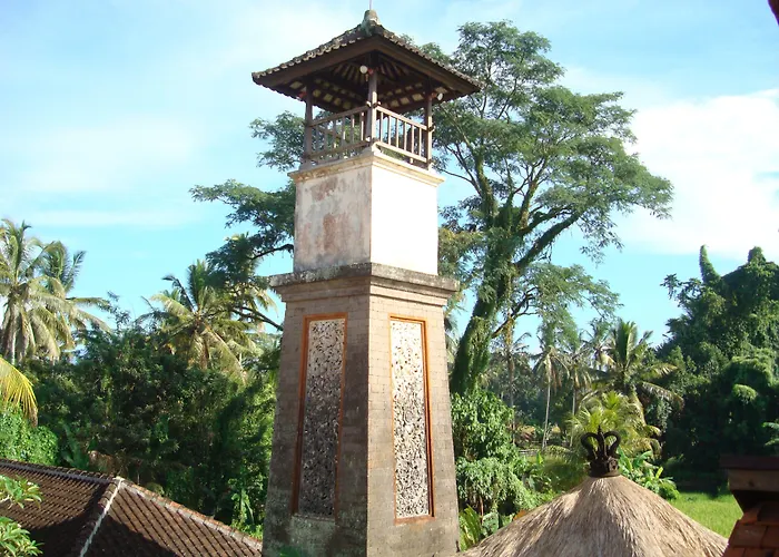 Anini Raka Ubud