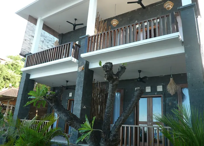 Pet friendly Vienna Beach Resort Amed 