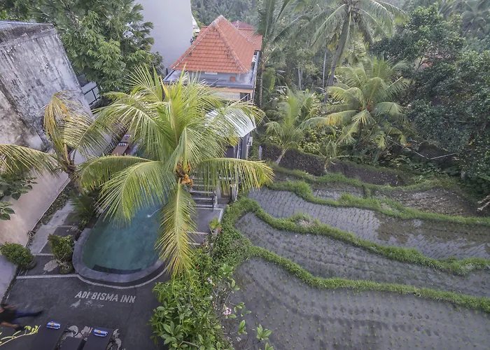 Pet friendly Adi Bisma Inn Ubud By Mahaputra