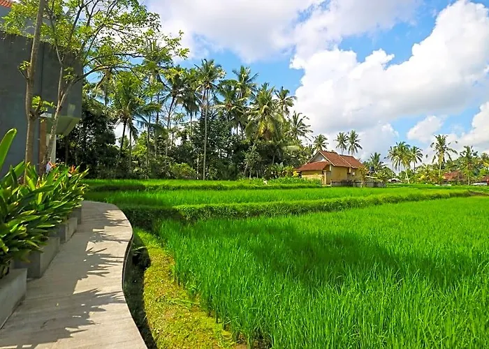 Toya Villa Ubud By Zuzu