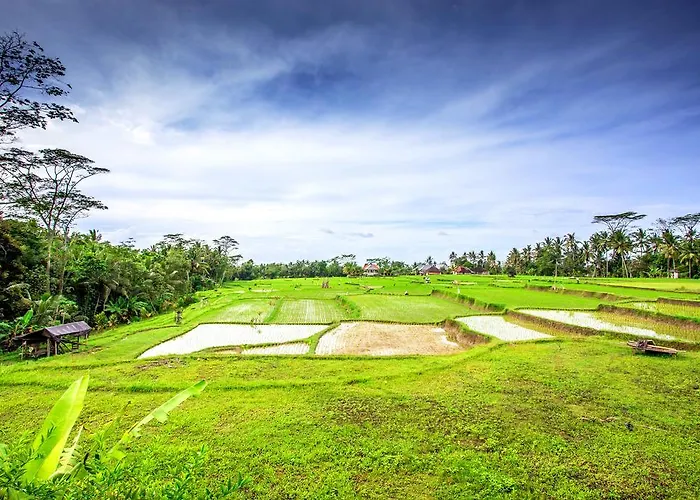 Villa Viola Ubud che accetta animali