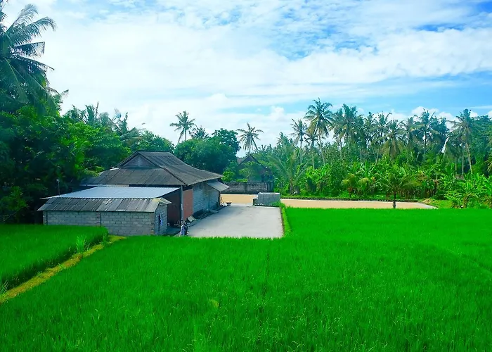 ホテル Wiki Bali ウブド