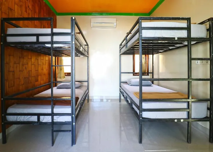 Hang Five Canggu Hostel admite animales