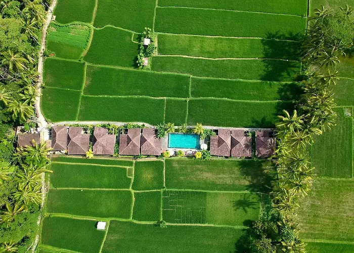 Pajar House Ubud Suite & Villas