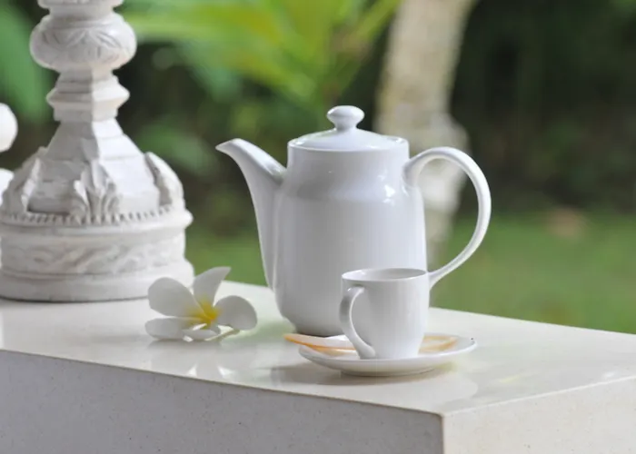 Pet friendly Villa Campur Kuta 