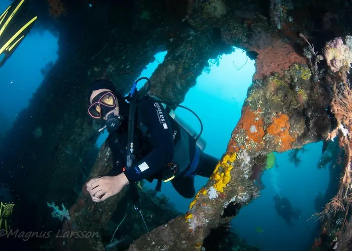 Bali Dive Resort Amed