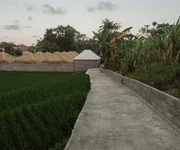 The Umah Bamboo Hotel Canggu 