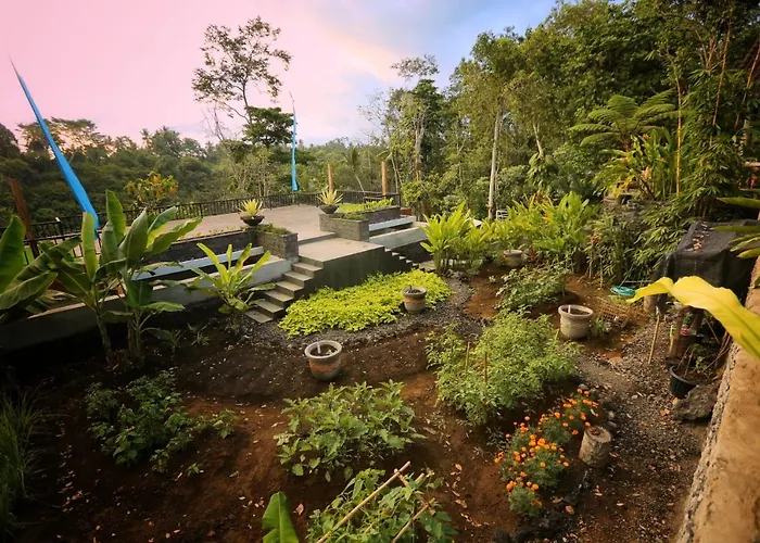 Angsoka Bungalow Ubud 